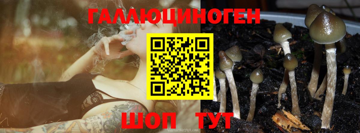 Дербент  Галлюциногенные грибы прущие грибы  купить закладку  Вход с VPN 