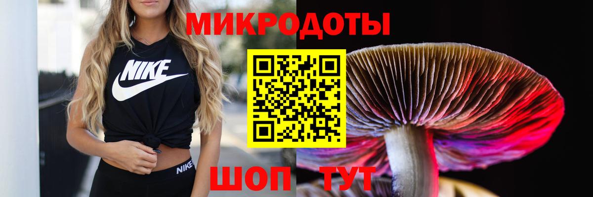 Галлюциногенные грибы прущие грибы Дербент